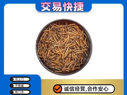 张家口怀来县回收散虫草